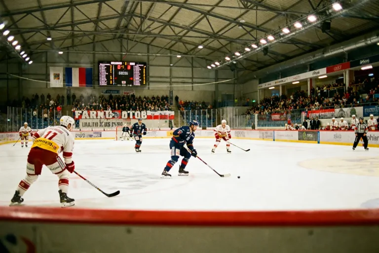 Match de hockey sur glace en cours, joueurs et spectateurs dans une patinoire couverte remplie.