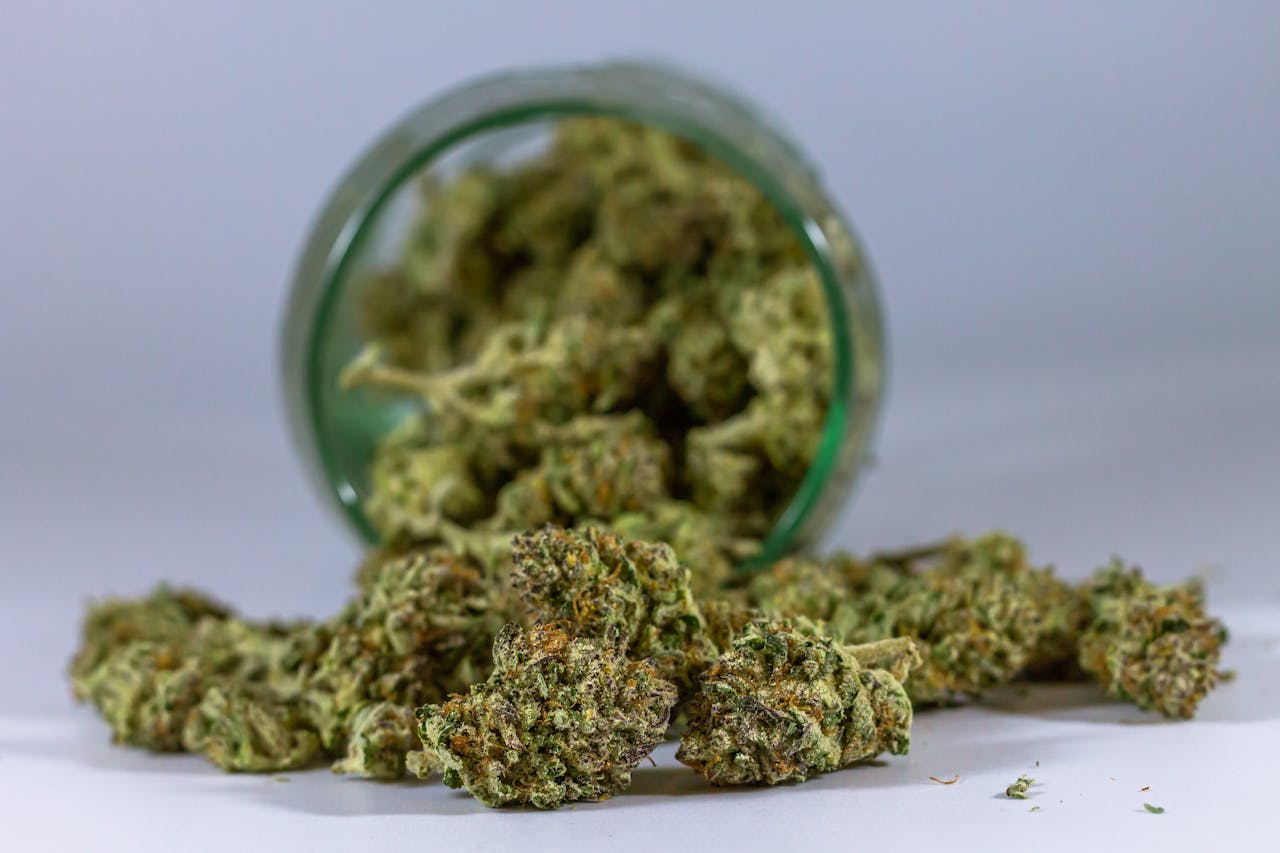 Comment utiliser le CBD pour profiter pleinement de ses bienfaits ?